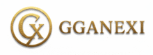 Ganexi Fashion logo